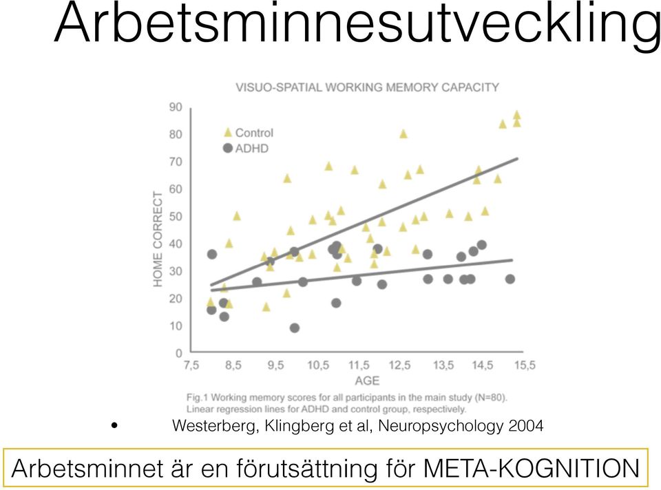 Neuropsychology 2004