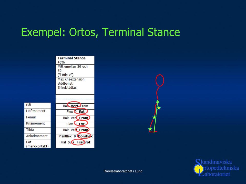 Terminal