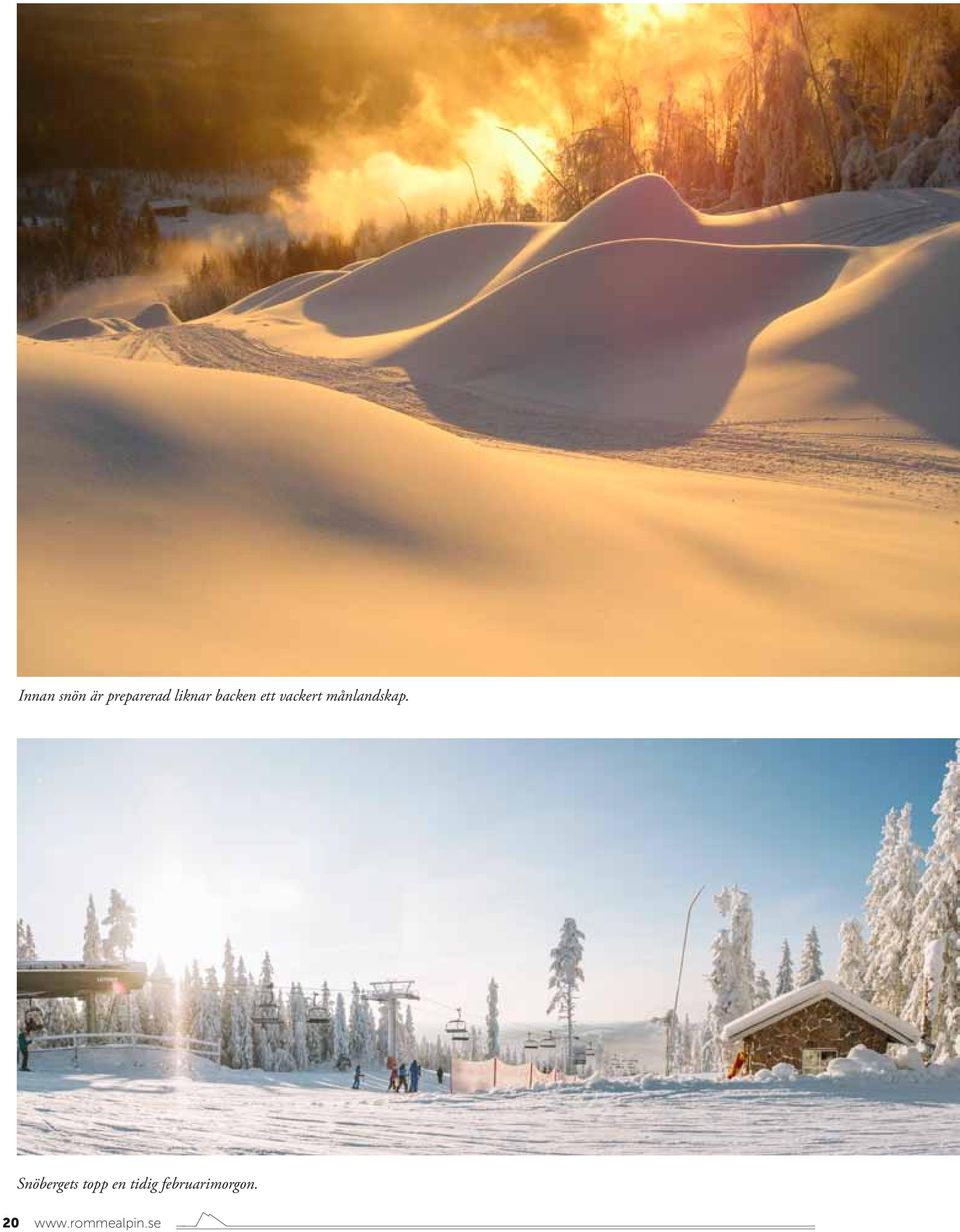 Snöbergets topp en tidig