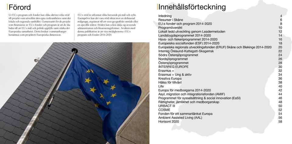 Detta brukar i sammanhanget benämnas som projektets Europeiska dimension. EU:s stöd är utformat olika beroende på mål och syfte.