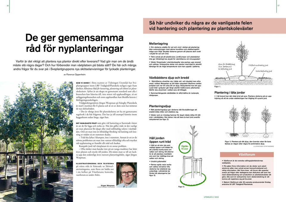 De här och många andra frågor får du svar på i Sveplantgruppens nya skötselanvisningar för lyckade planteringar.