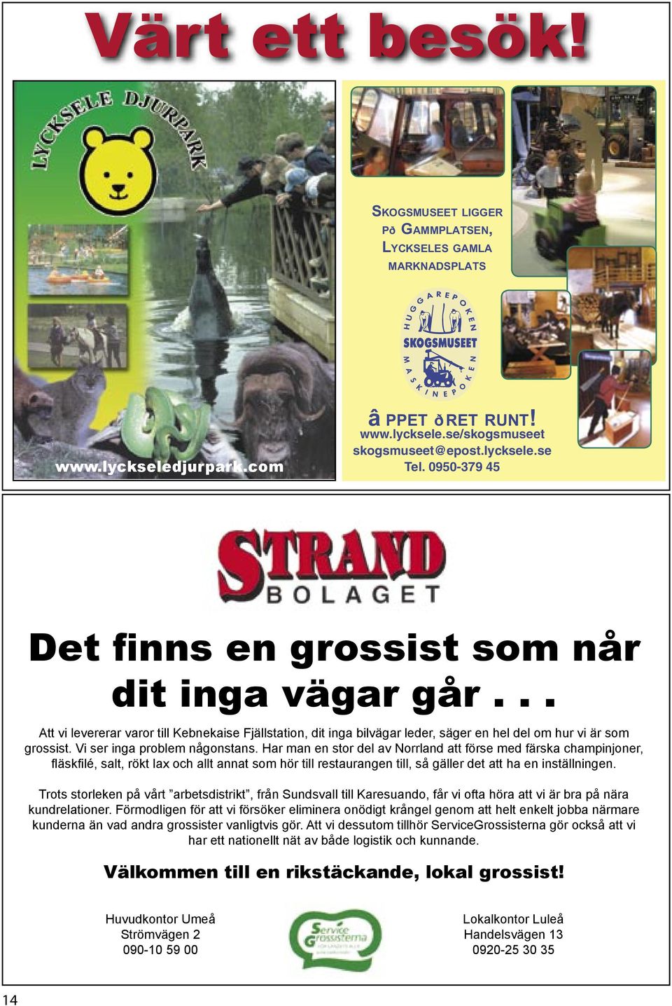 Vi ser inga problem någonstans.