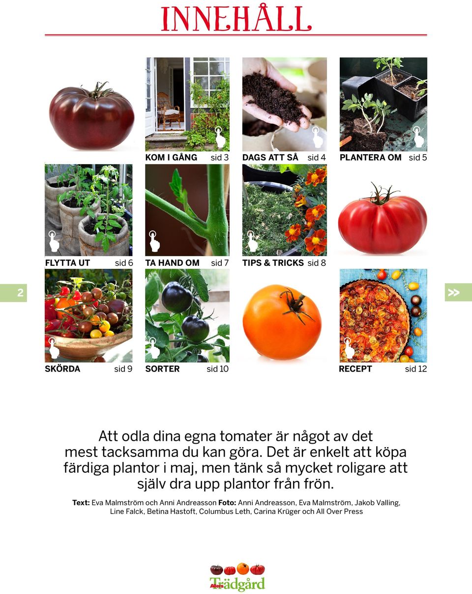 Det är enkelt att köpa färdiga plantor i maj, men tänk så mycket roligare att själv dra upp plantor från frön.