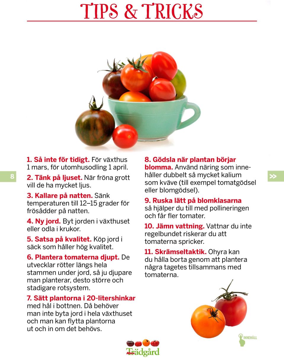 5. Satsa på kvalitet. Köp jord i säck som håller hög kvalitet. 6. Plantera tomaterna djupt.