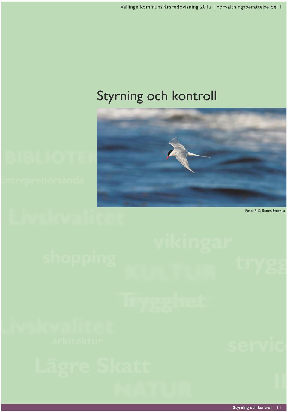 årsredovisning Styrning och kontroll Foto: