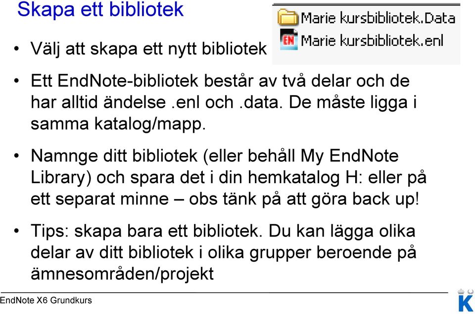 Namnge ditt bibliotek (eller behåll My EndNote Library) och spara det i din hemkatalog H: eller på ett separat