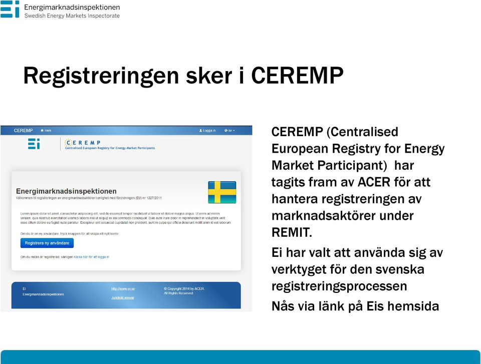 registreringen av marknadsaktörer under REMIT.