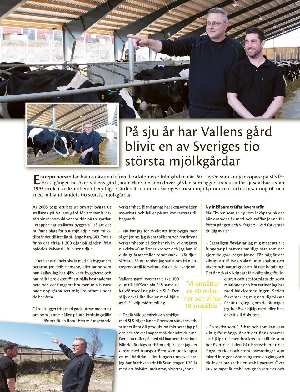 Gården är nu norra Sveriges största mjölkproducent och platsar nog till och med in bland landets tio största mjölkgårdar.