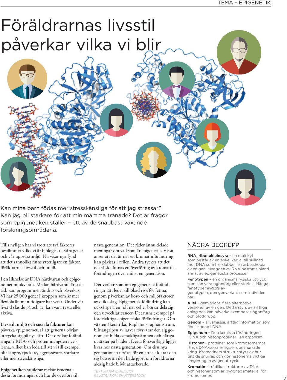 Nu visar nya fynd att det sannolikt finns ytterligare en faktor, föräldrarnas livsstil och miljö. I en liknelse är DNA hårdvaran och epigenomet mjukvaran.