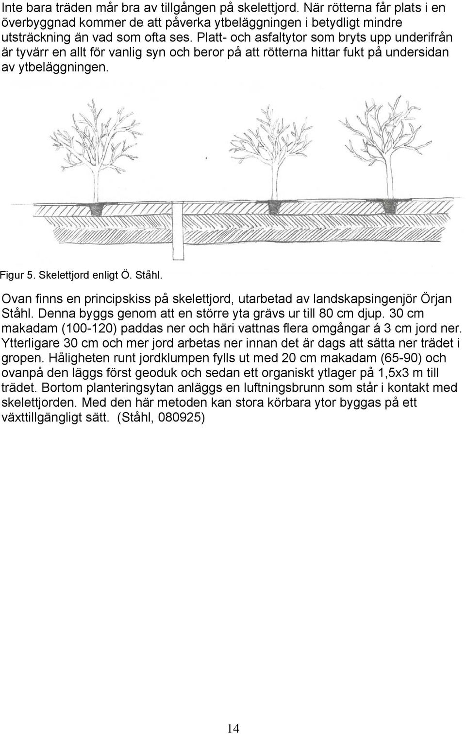 Ovan finns en principskiss på skelettjord, utarbetad av landskapsingenjör Örjan Ståhl. Denna byggs genom att en större yta grävs ur till 80 cm djup.