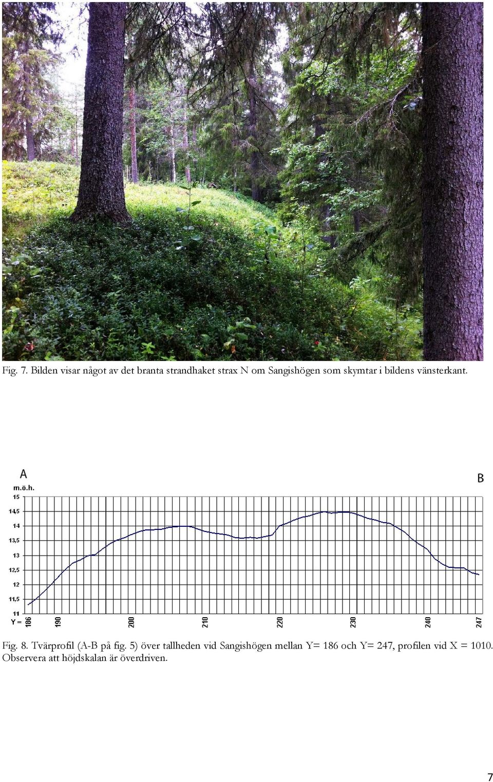 Sangishögen som skymtar i bildens vänsterkant. Fig. 8.