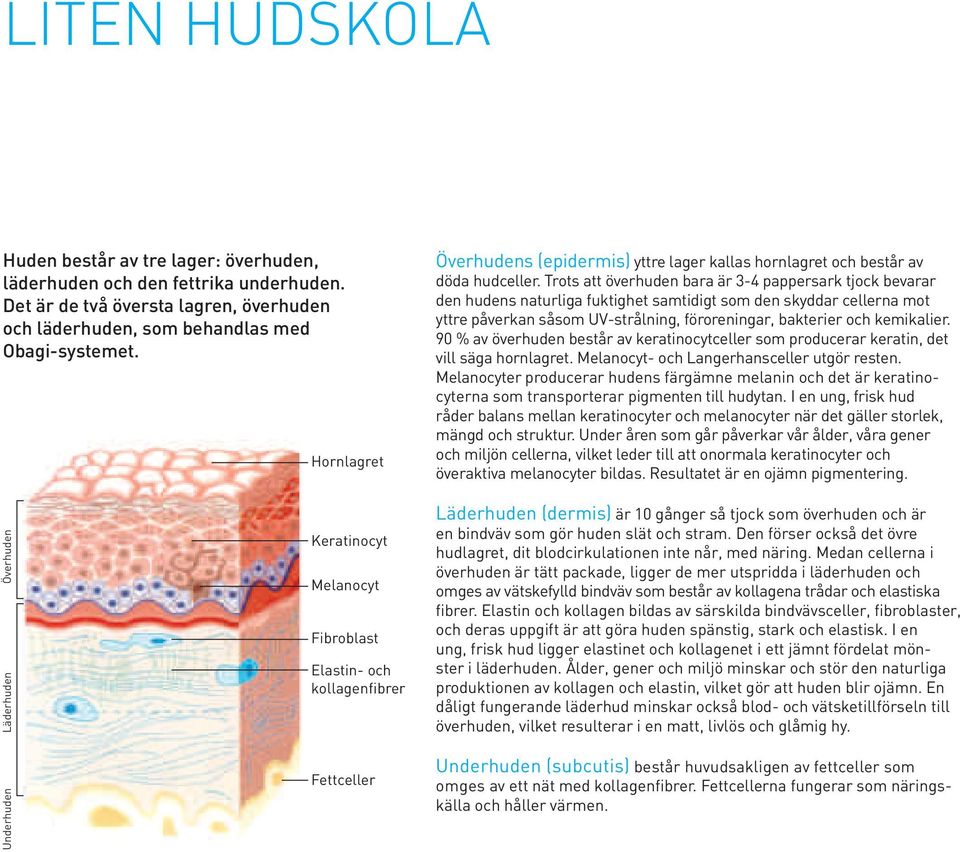 Trots att överhuden bara är 3-4 pappersark tjock bevarar den hudens naturliga fuktighet samtidigt som den skyddar cellerna mot yttre påverkan såsom UV-strålning, föroreningar, bakterier och