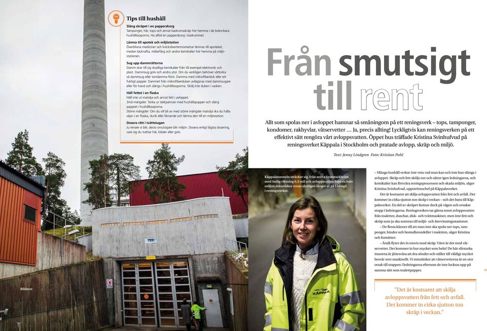 Sug upp dammråttorna Damm drar till sig skadliga kemikalier från till exempel elektronik och plast. Dammsug golv och andra ytor. Om du verkligen behöver våttorka så dammsug eller torrdamma först.