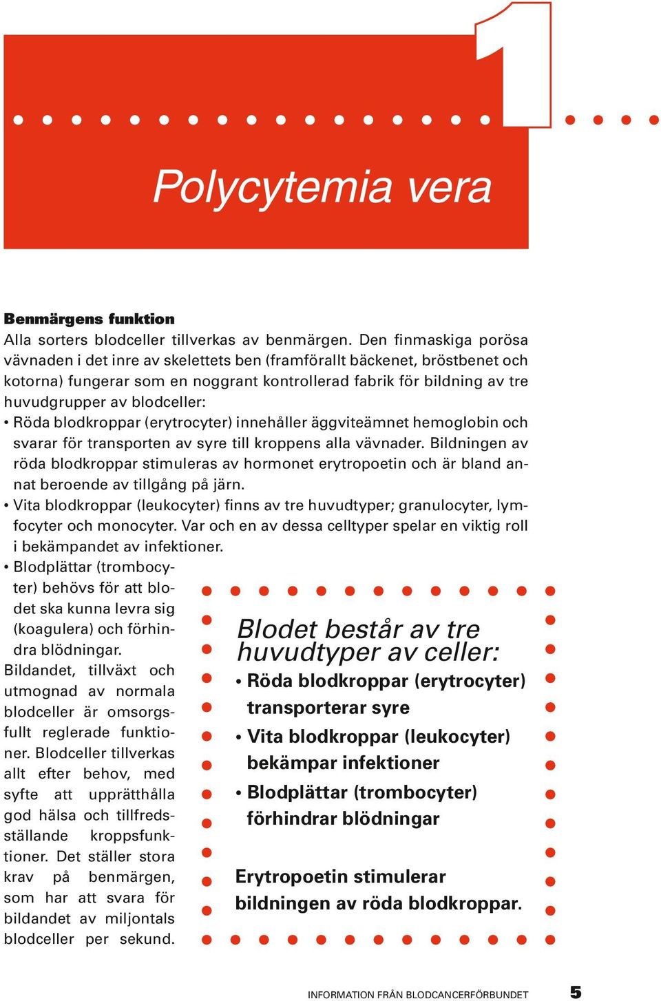 röda blodkroppar (erytrocyter) innehåller äggviteämnet hemoglobin och svarar för transporten av syre till kroppens alla vävnader.