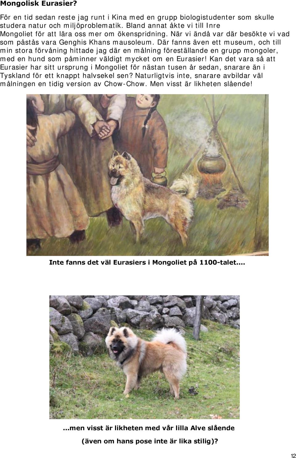 Där fanns även ett museum, och till min stora förvåning hittade jag där en målning föreställande en grupp mongoler, med en hund som påminner väldigt mycket om en Eurasier!