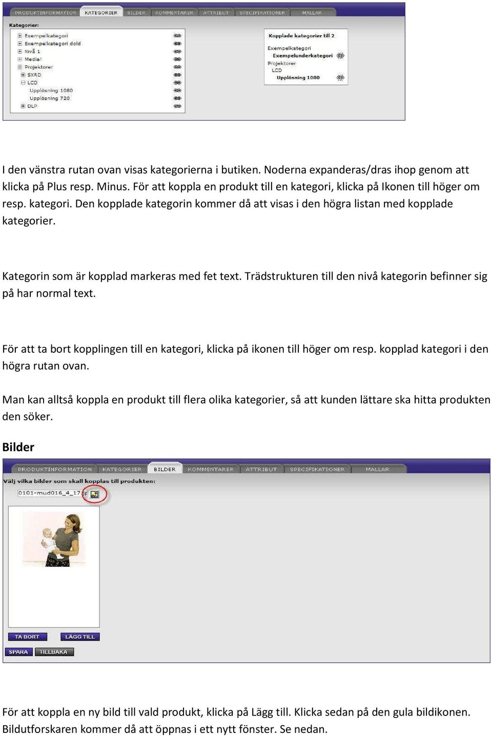 Kategorin som är kopplad markeras med fet text. Trädstrukturen till den nivå kategorin befinner sig på har normal text.