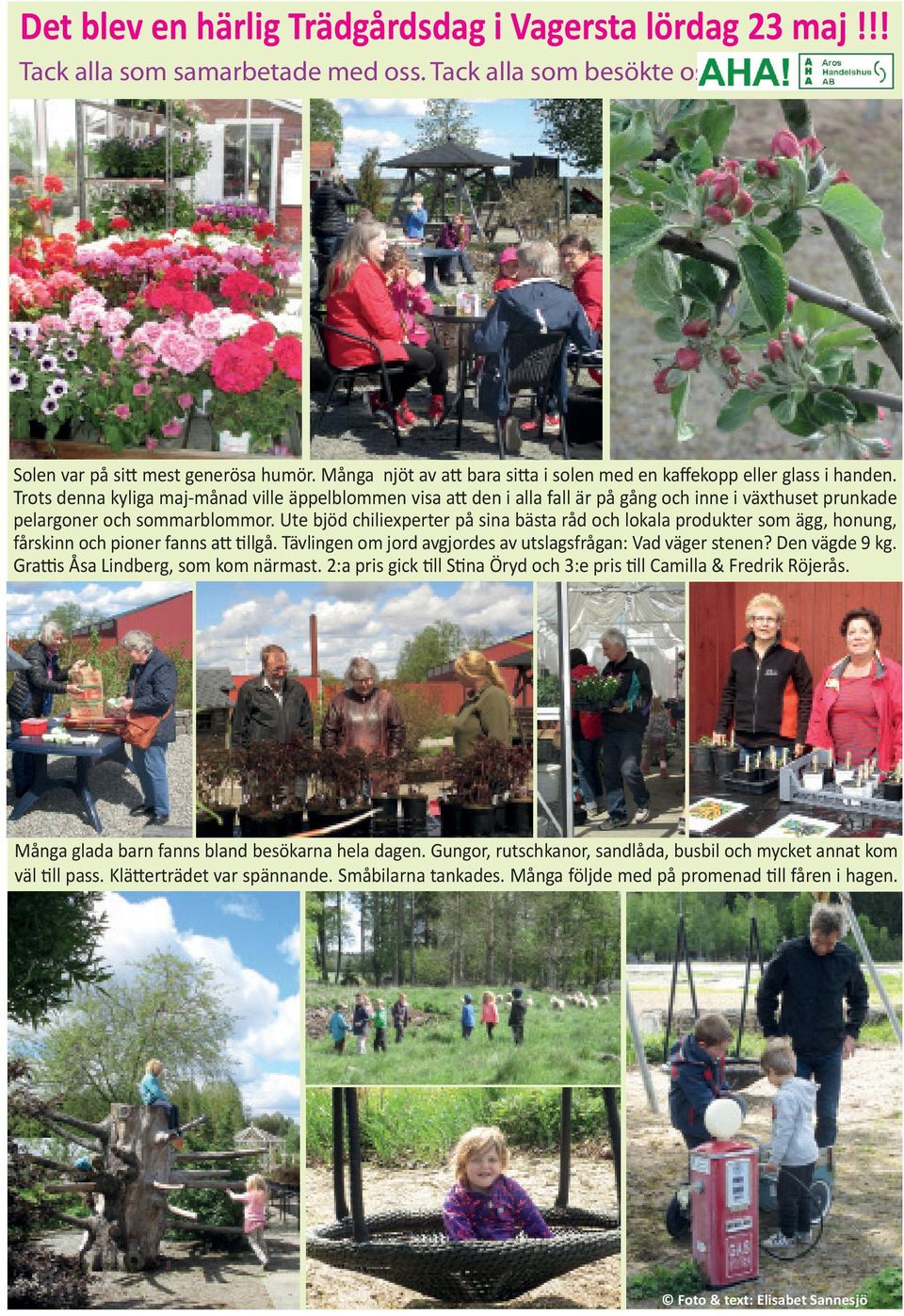 Trots denna kyliga maj-månad ville äppelblommen visa att den i alla fall är på gång och inne i växthuset prunkade pelargoner och sommarblommor.