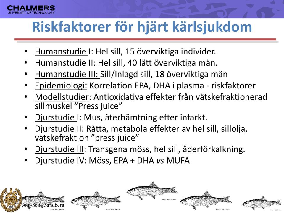 effekter från vätskefraktionerad sillmuskel Press juice Djurstudie I: Mus, återhämtning efter infarkt.