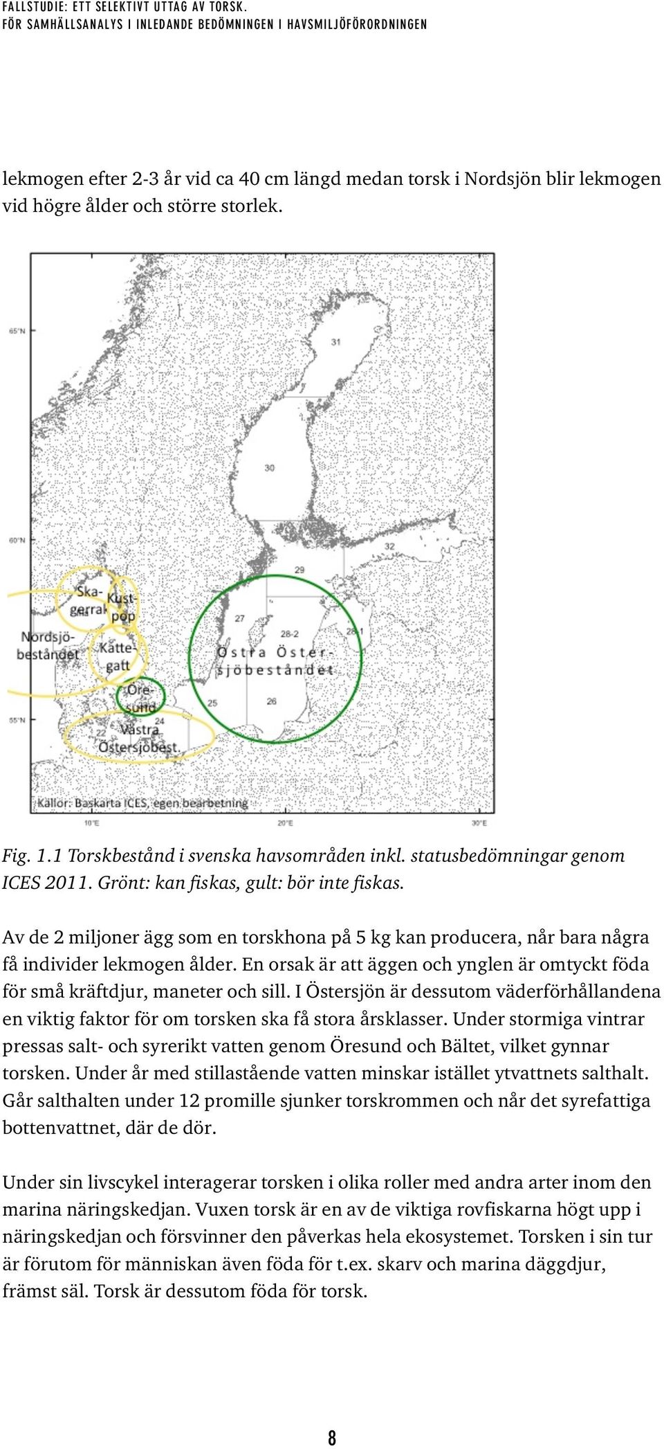 En orsak är att äggen och ynglen är omtyckt föda för små kräftdjur, maneter och sill. I Östersjön är dessutom väderförhållandena en viktig faktor för om torsken ska få stora årsklasser.