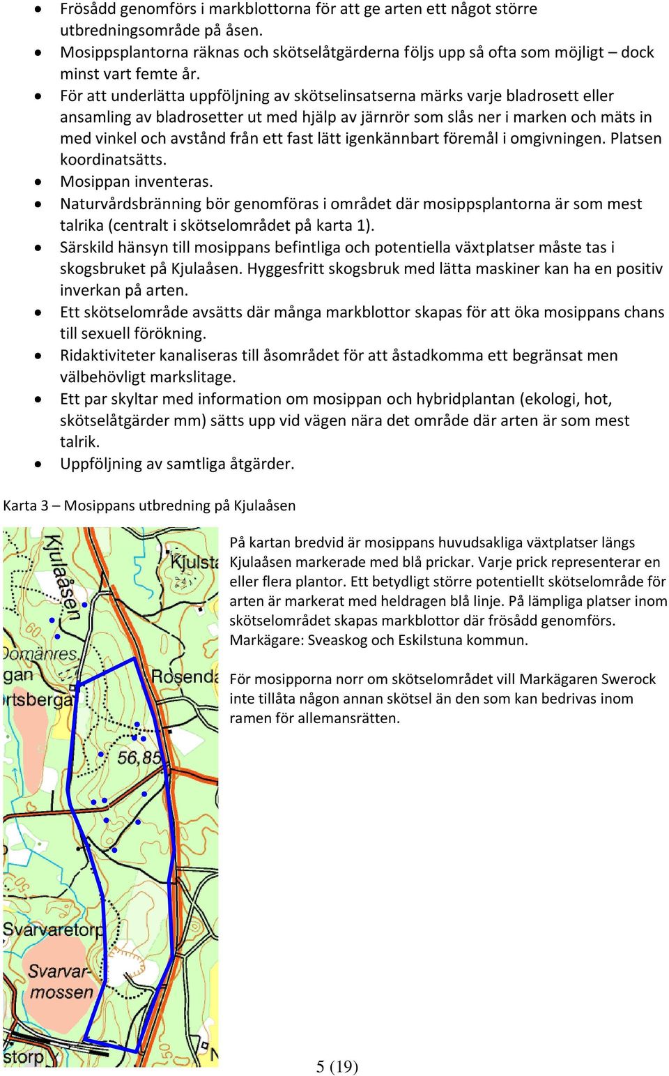 fast lätt igenkännbart föremål i omgivningen. Platsen koordinatsätts. Mosippan inventeras.