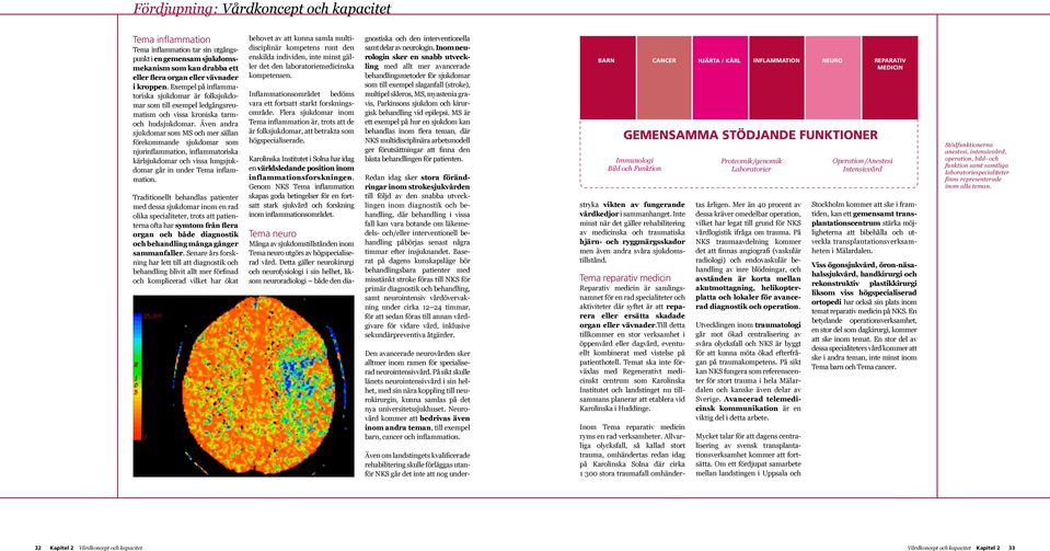 Även andra sjuk domar som MS och mer sällan förekommande sjukdomar som njurinflammation, inflammatoriska kärlsjukdomar och vissa lungsjukdomar går in under Tema inflammation.