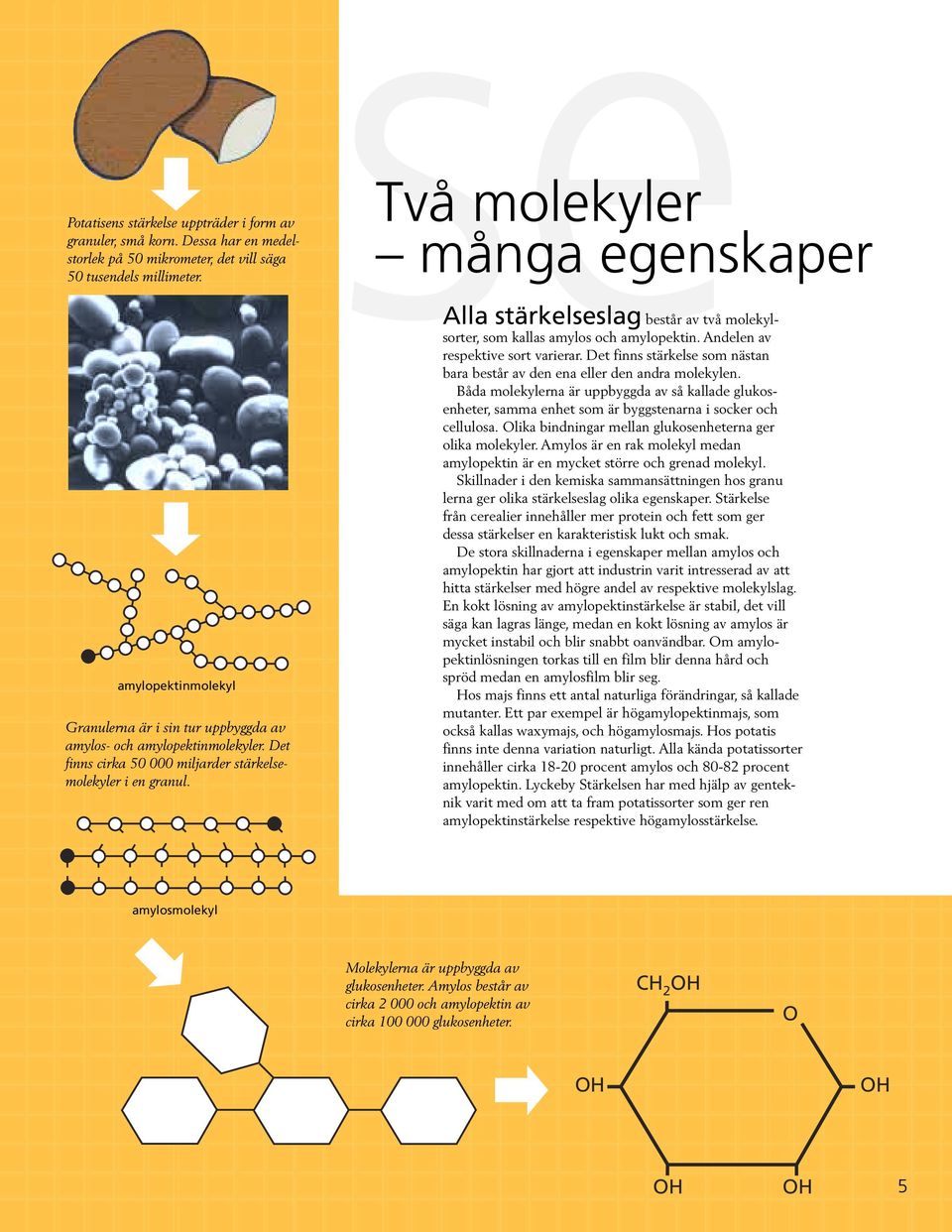 se Alla stärkelseslag består av två molekylsorter, som kallas amylos och amylopektin. Andelen av respektive sort varierar.