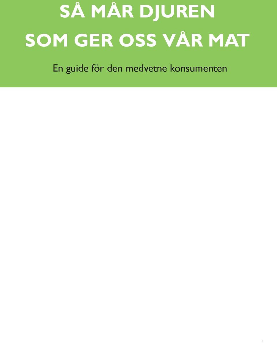 guide för den