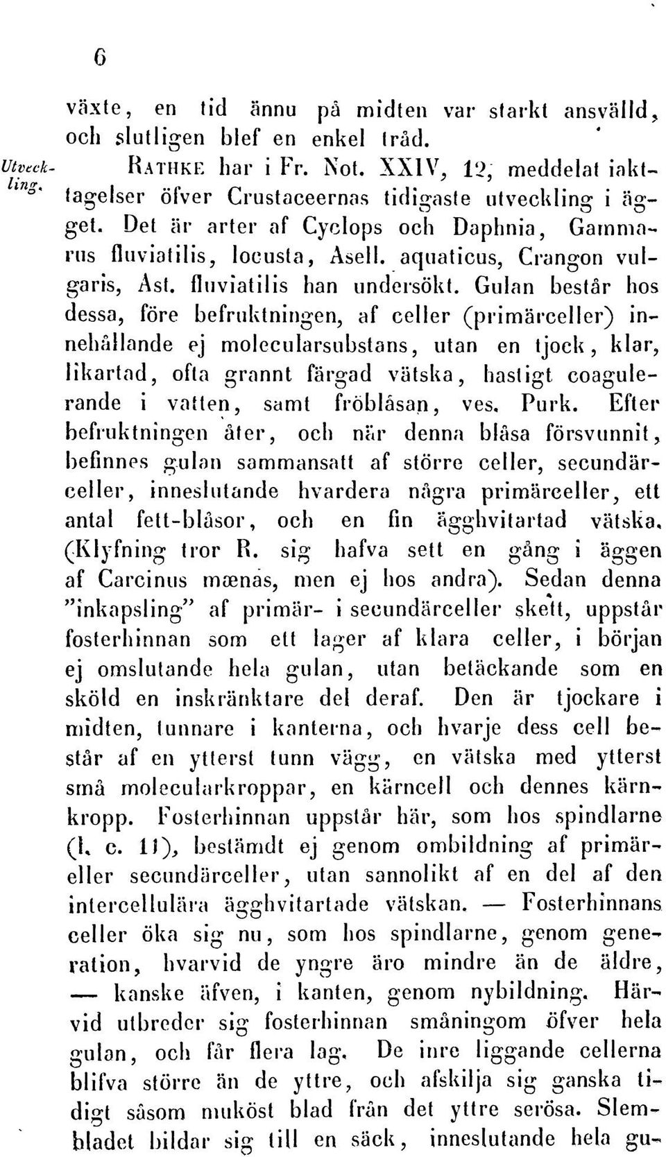 aquaticus, Crangon vulgaris, Ast. fluviatilis han undersokt. Gulan bestar hos dessa, fore befruktningen, af celler (primarceller) innehallande ej molecularsubstans, utan en tjock, klar?