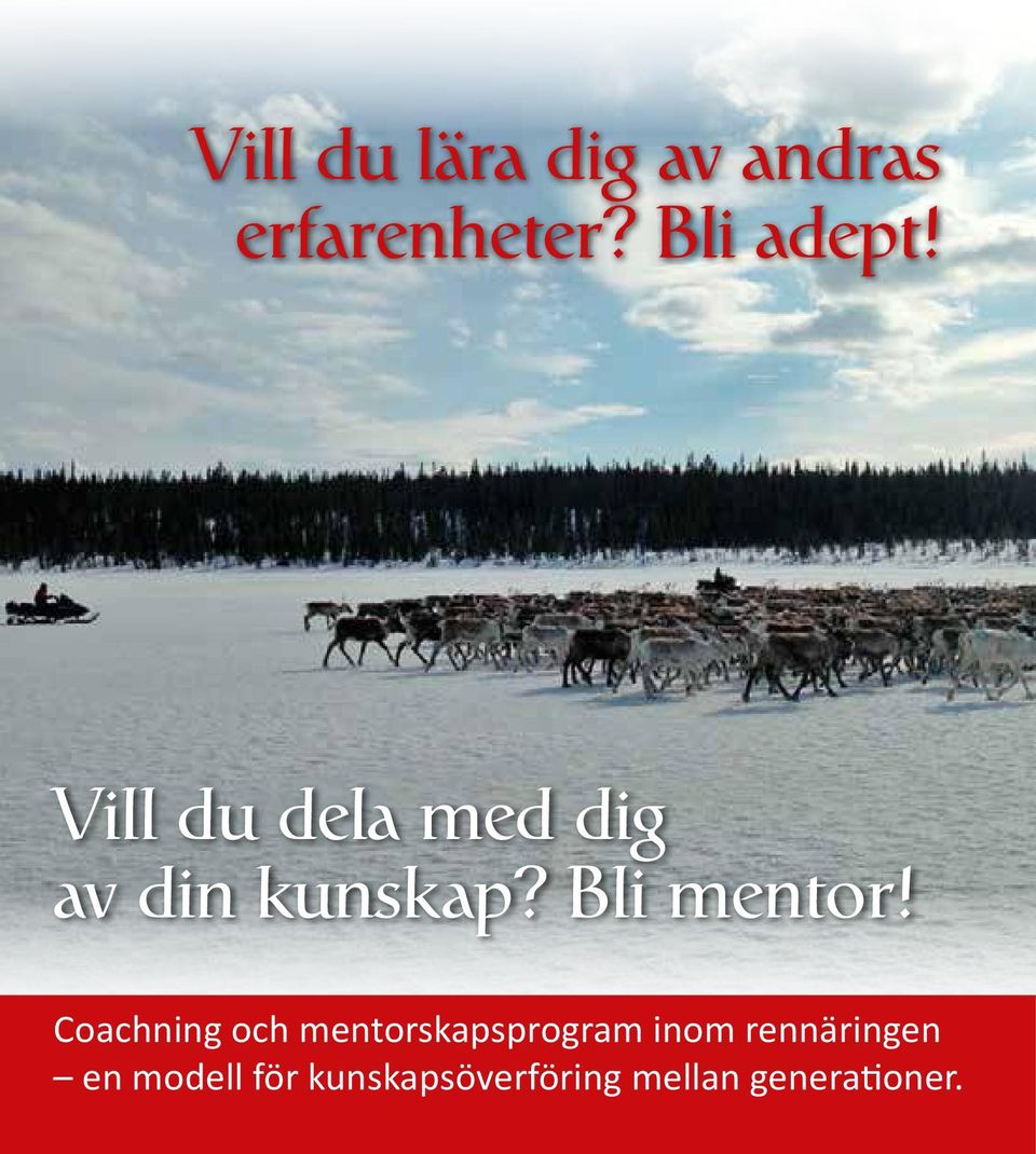 Coachning och mentorskapsprogram inom rennäringen