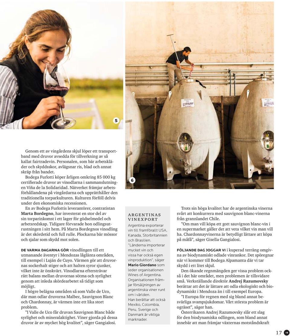 Bodega Furlotti köper årligen omkring 85 000 kg certifierade druvor av vinodlarna i sammanslutningen Viña de la Solidaridad.