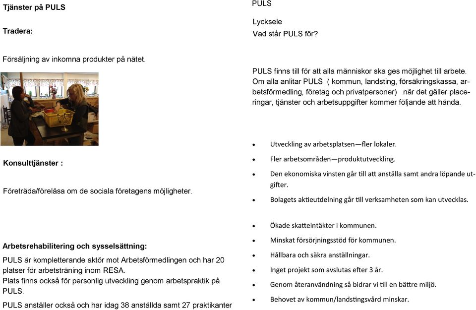 Konsulttjänster : Företräda/föreläsa om de sociala företagens möjligheter. Utveckling av arbetsplatsen fler lokaler. Fler arbetsområden produktutveckling.