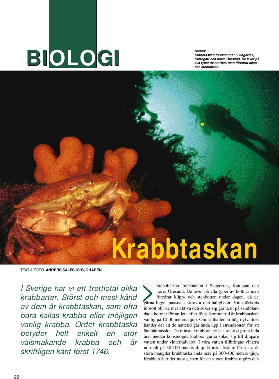 Ordet krabbtaska betyder helt enkelt en stor välsmakande krabba och är skriftligen känt först 1746. Krabbtaskan förekommer i Skagerrak, Kattegatt och norra Öresund.