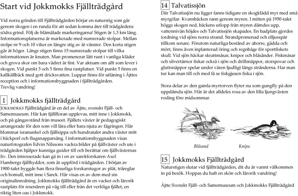 Den korta stigen går åt höger. Längs stigen finns 15 numrerade stolpar till vilka informationen är knuten. Man promenerar lätt runt i vanliga kläder och grova skor om bara vädret är fint.