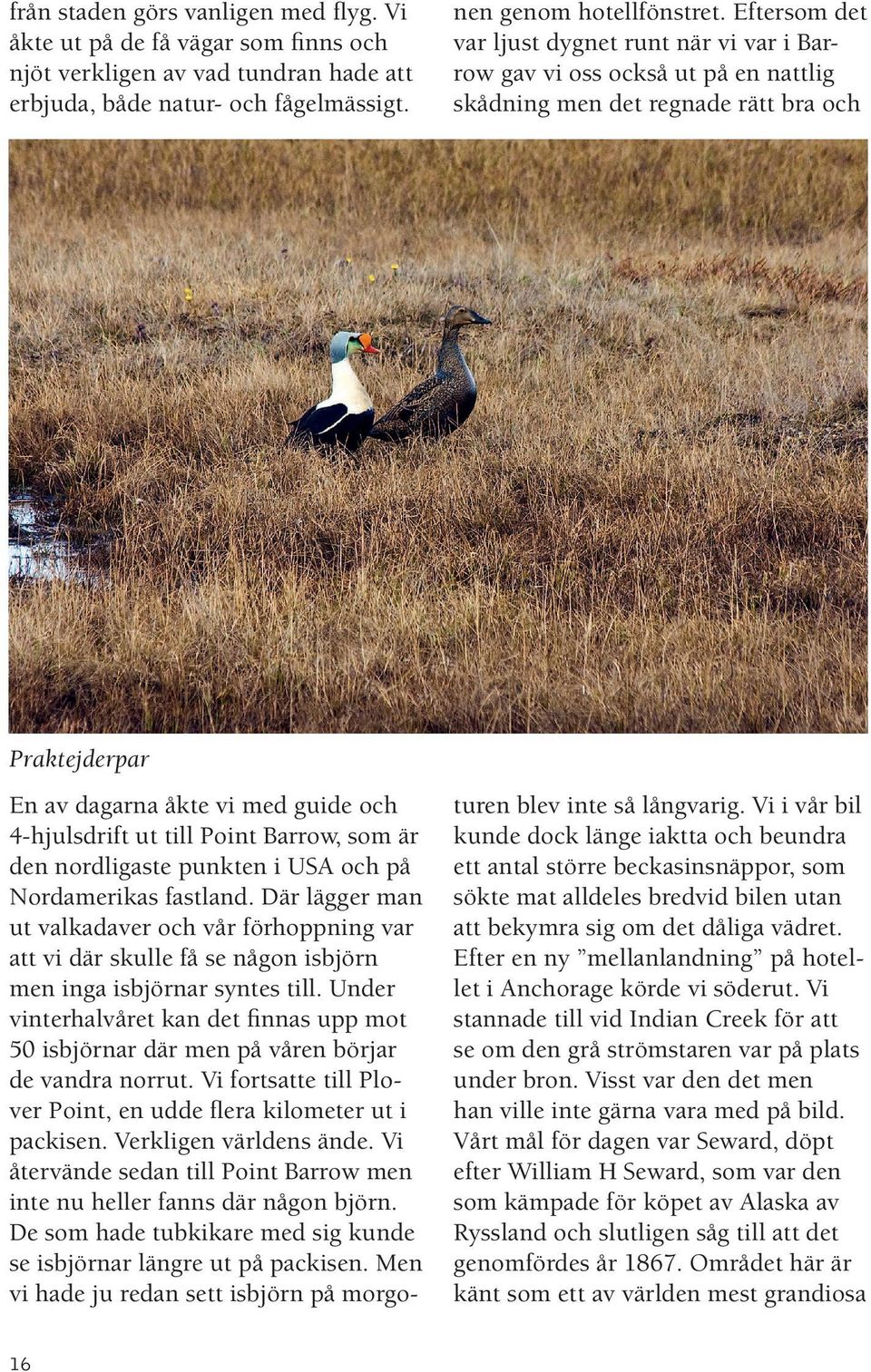 Point Barrow, som är den nordligaste punkten i USA och på Nordamerikas fastland.