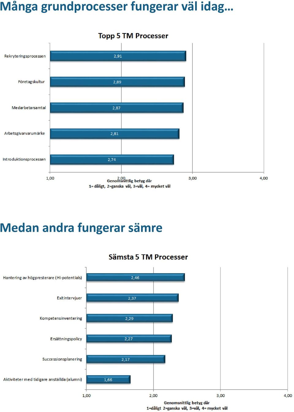 fungerar väl