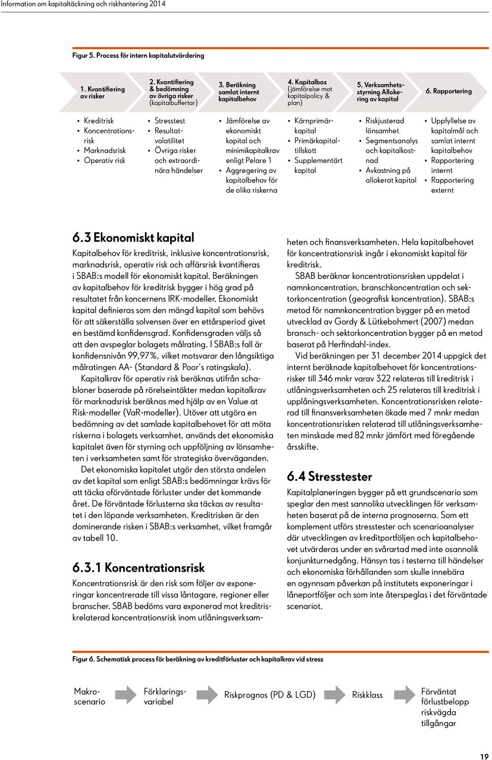 Rapportering Kreditrisk Koncentrationsrisk Marknadsrisk Operativ risk Stresstest Resultatvolatilitet Övriga risker och extraordinära händelser Jämförelse av ekonomiskt kapital och minimikapitalkrav