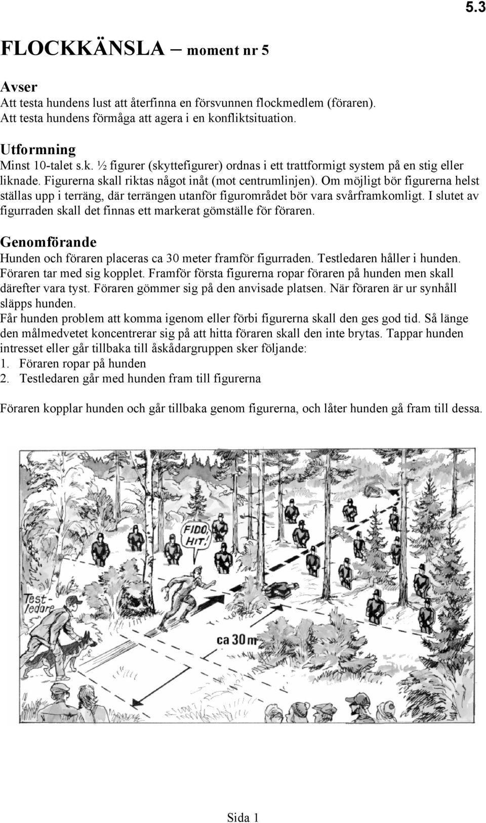 I slutet av figurraden skall det finnas ett markerat gömställe för föraren. Genomförande Hunden och föraren placeras ca 30 meter framför figurraden. Testledaren håller i hunden.