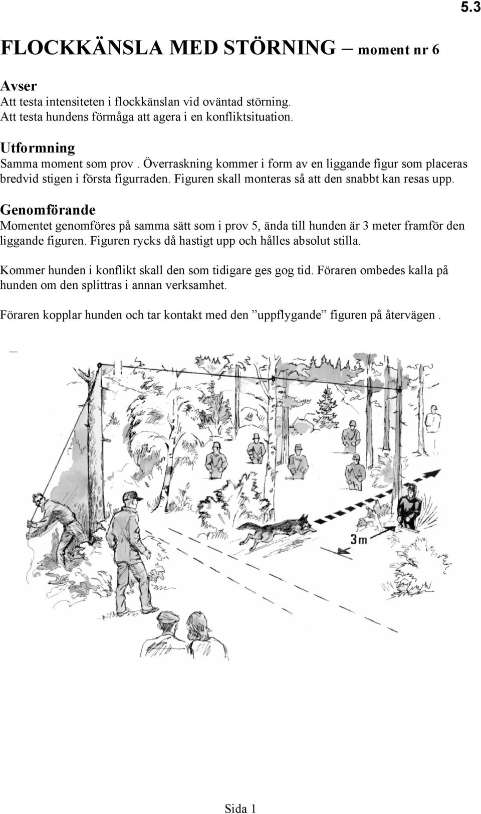 Figuren skall monteras så att den snabbt kan resas upp. Genomförande Momentet genomföres på samma sätt som i prov 5, ända till hunden är 3 meter framför den liggande figuren.