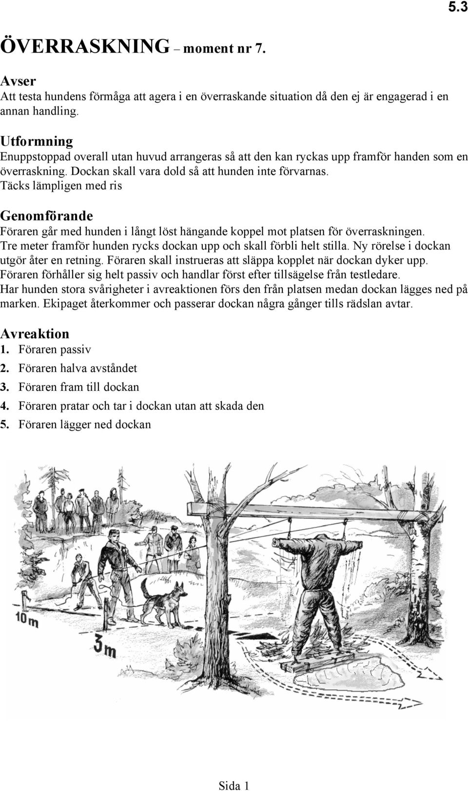 Täcks lämpligen med ris Genomförande Föraren går med hunden i långt löst hängande koppel mot platsen för överraskningen. Tre meter framför hunden rycks dockan upp och skall förbli helt stilla.