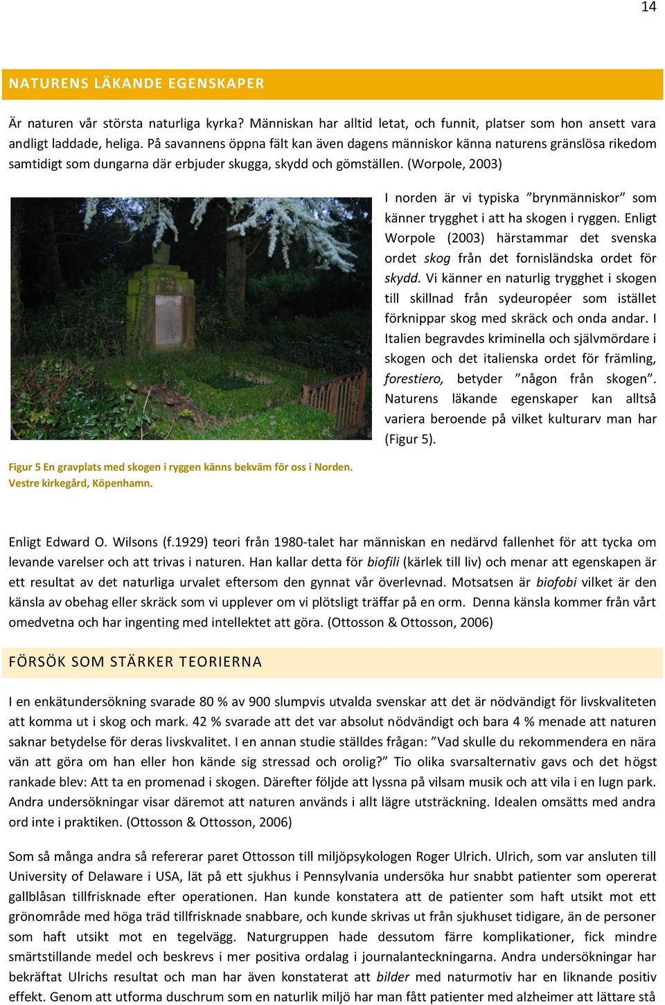 (Worpole, 2003) Figur 5 En gravplats med skogen i ryggen känns bekväm för oss i Norden. Vestre kirkegård, Köpenhamn. I norden är vi typiska brynmänniskor som känner trygghet i att ha skogen i ryggen.