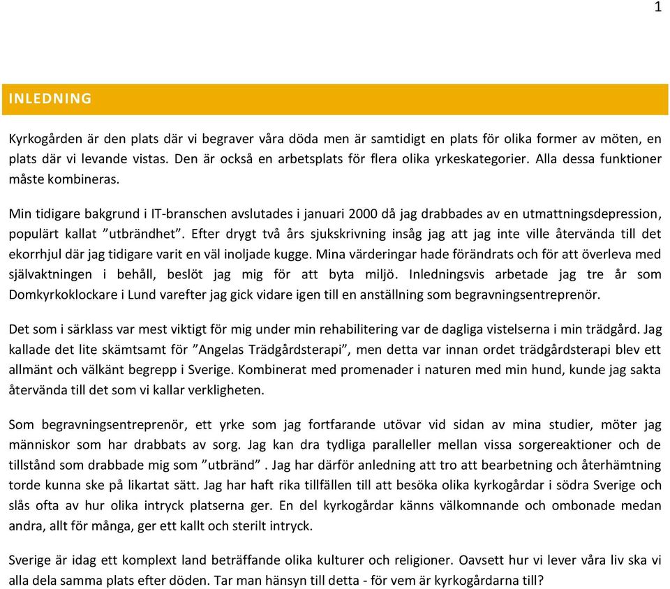 Min tidigare bakgrund i IT-branschen avslutades i januari 2000 då jag drabbades av en utmattningsdepression, populärt kallat utbrändhet.