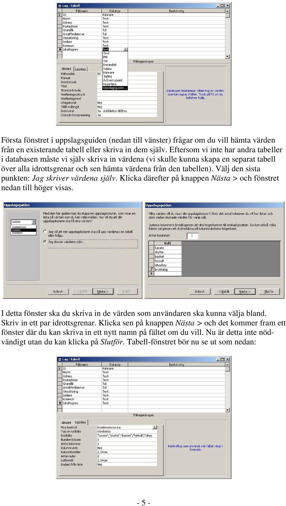 Välj den sista punkten: Jag skriver värdena själv. Klicka därefter på knappen Nästa > och fönstret nedan till höger visas.