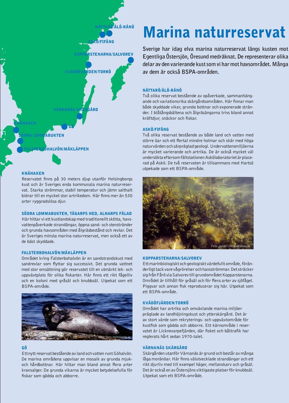 knähaken södra lommabukten värnanäs skärgård gö falsterbohalvön/måkläppen Knähaken Reservatet finns på 30 meters djup utanför Helsingborgs kust och är Sveriges enda kommunala marina naturreservat.