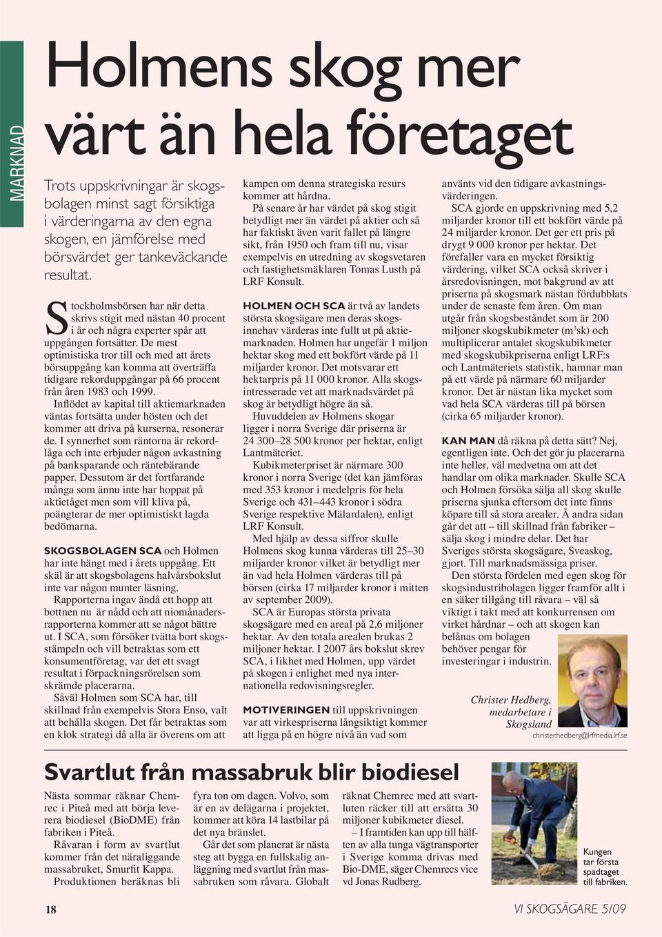 De mest optimistiska tror till och med att årets börsuppgång kan komma att överträffa tidigare rekorduppgångar på 66 procent från åren 1983 och 1999.