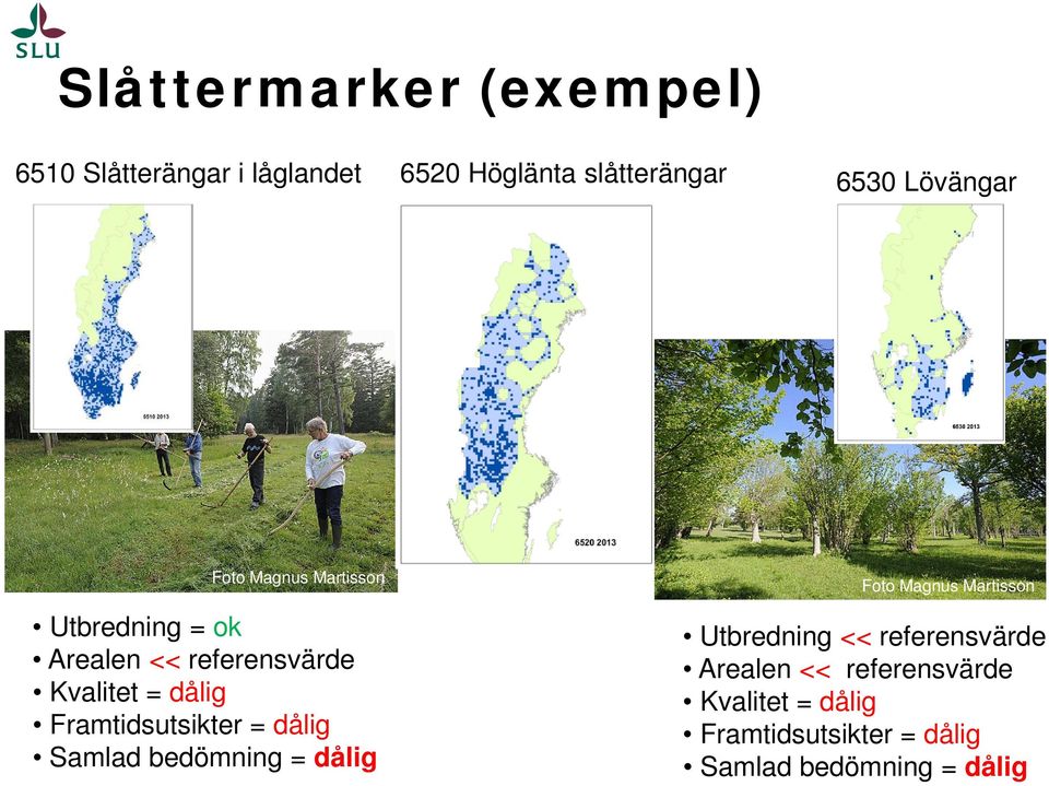 Framtidsutsikter = dålig Samlad bedömning = dålig Foto Magnus Martisson Utbredning <<