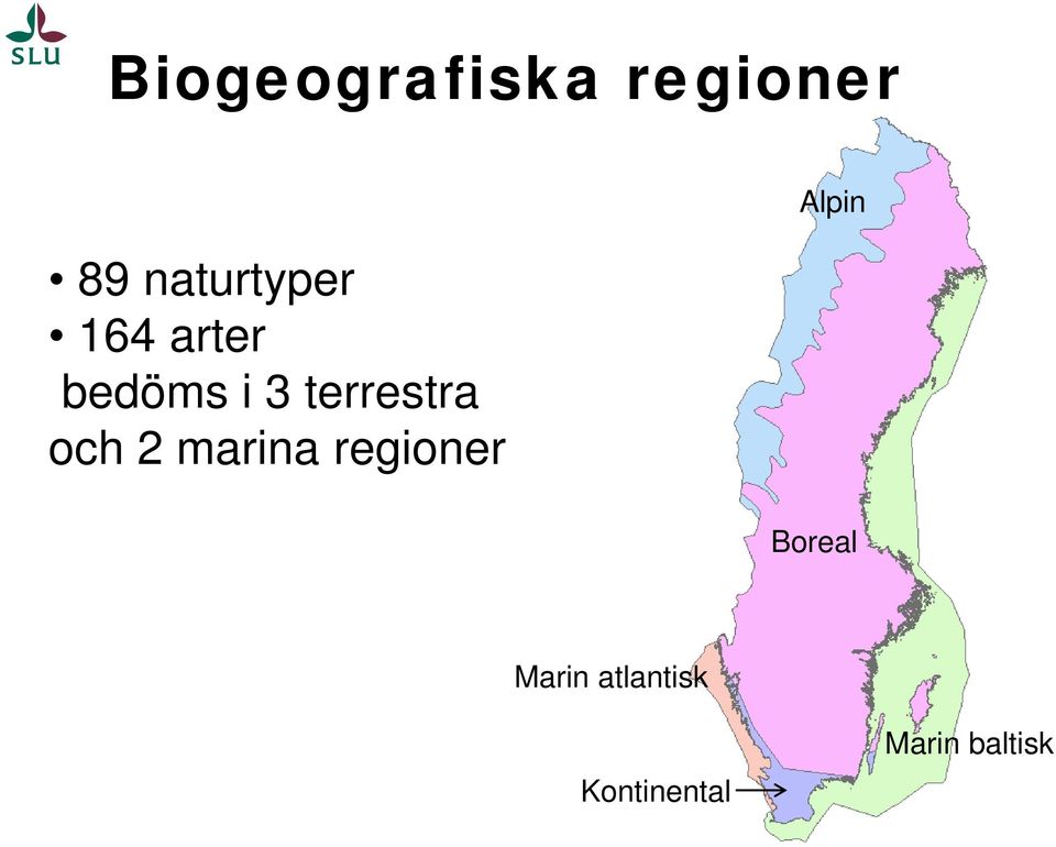 terrestra och 2 marina regioner