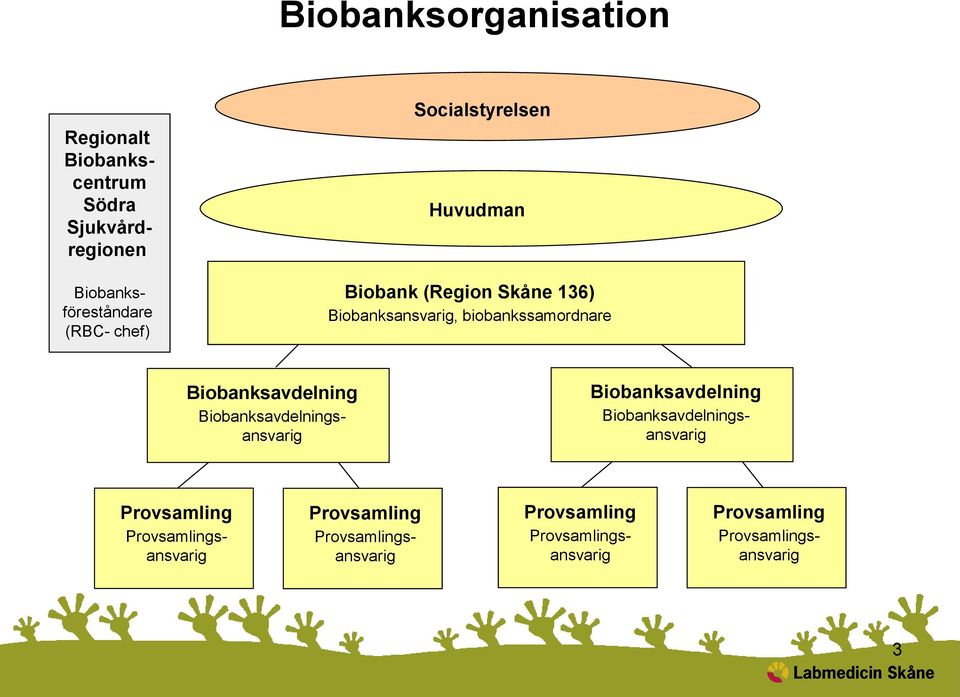 Biobanksavdelning Biobanksavdelningsansvarig Biobanksavdelning Biobanksavdelningsansvarig Provsamling