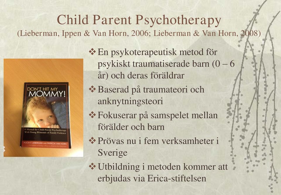 Baserad på traumateori och anknytningsteori Fokuserar på samspelet mellan förälder och barn