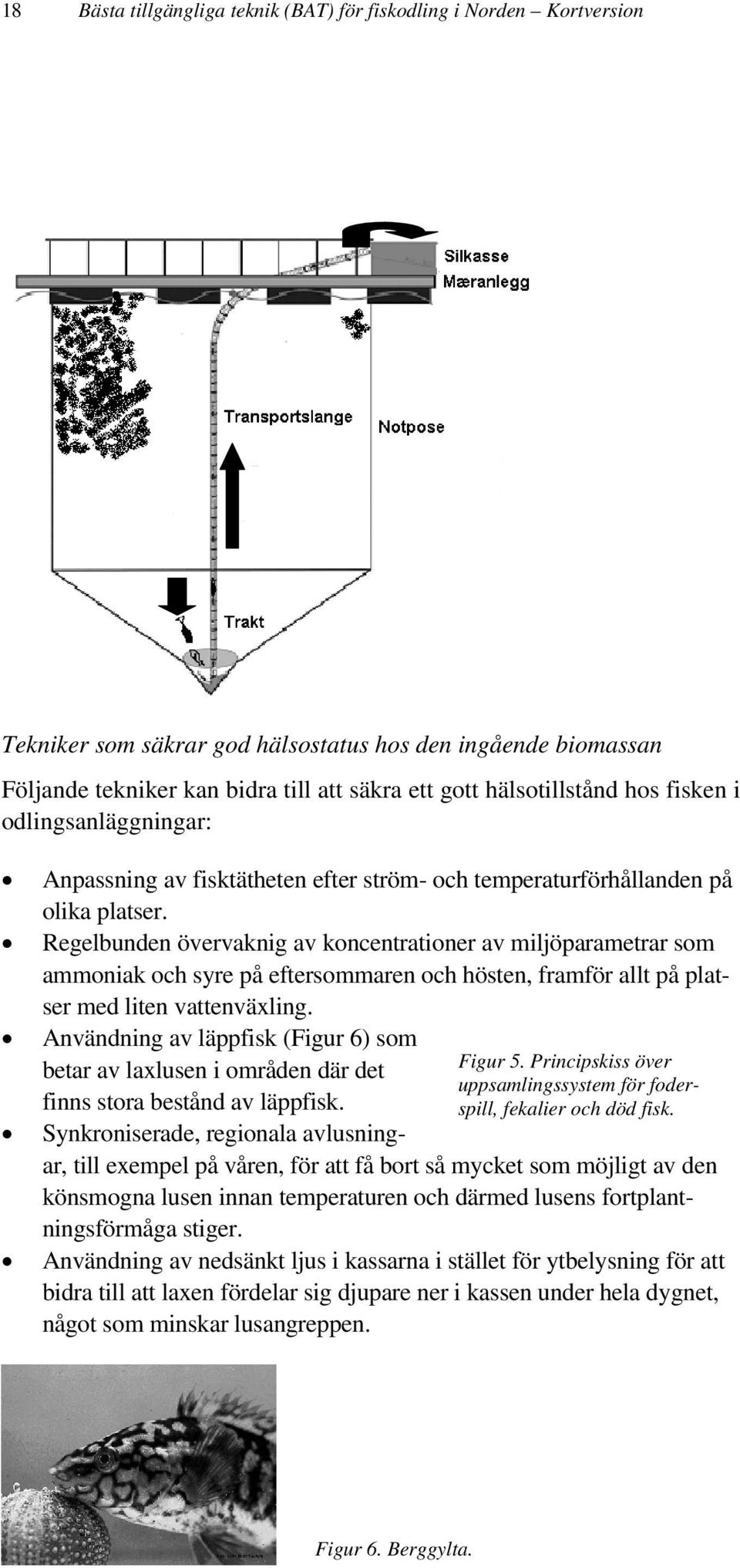 Regelbunden övervaknig av koncentrationer av miljöparametrar som ammoniak och syre på eftersommaren och hösten, framför allt på platser med liten vattenväxling. Figur 5.