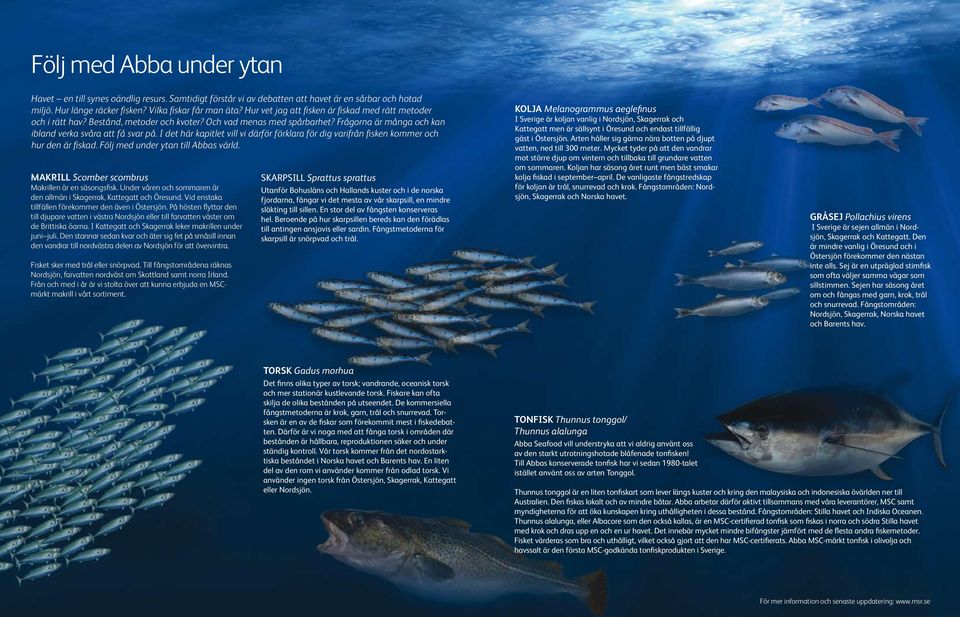 I det här kapitlet vill vi därför förklara för dig varifrån fisken kommer och hur den är fiskad. Följ med under ytan till Abbas värld. MAKRILL Scomber scombrus Makrillen är en säsongsfisk.